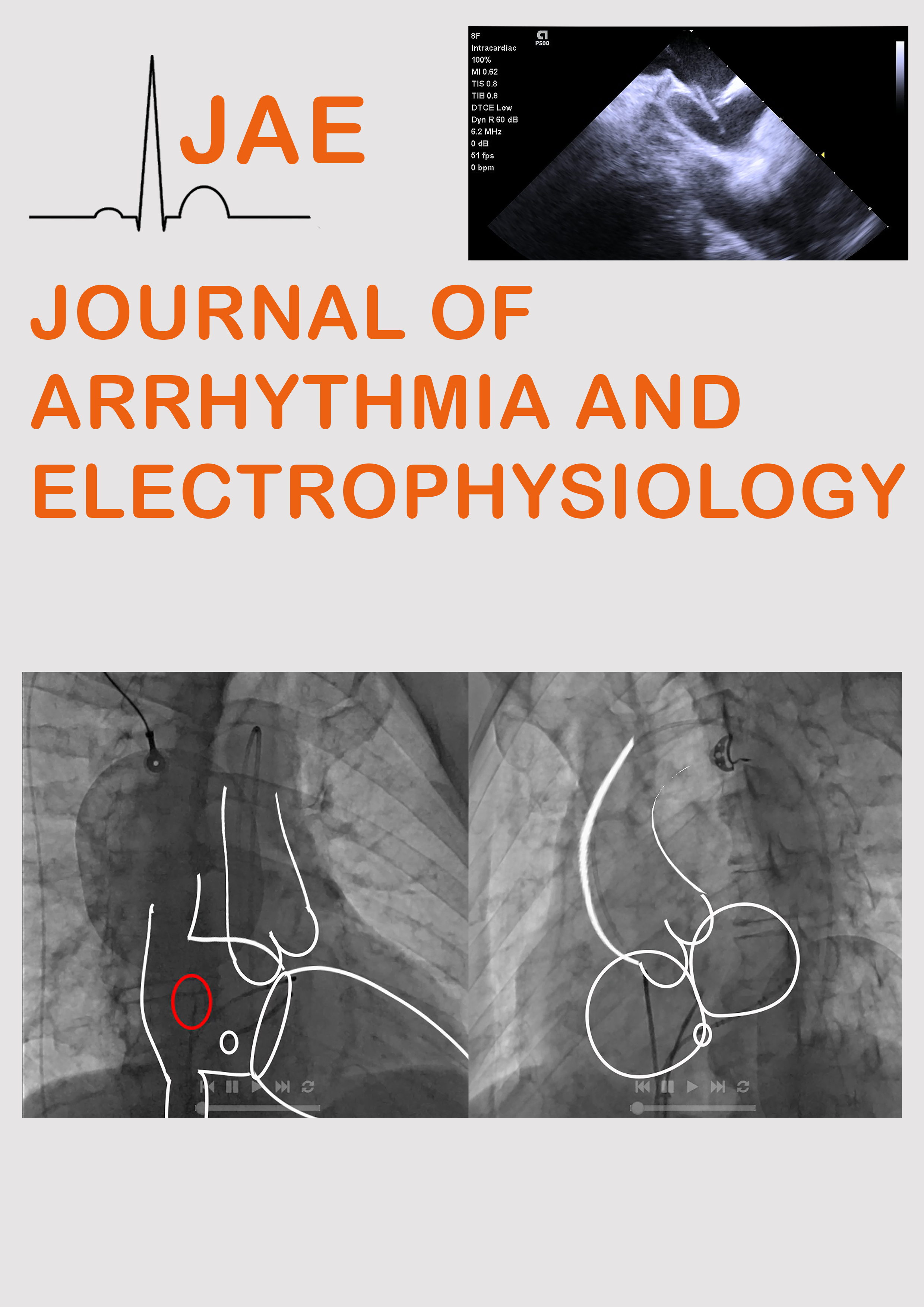 					View Vol. 3 No. 3 (2025)
				